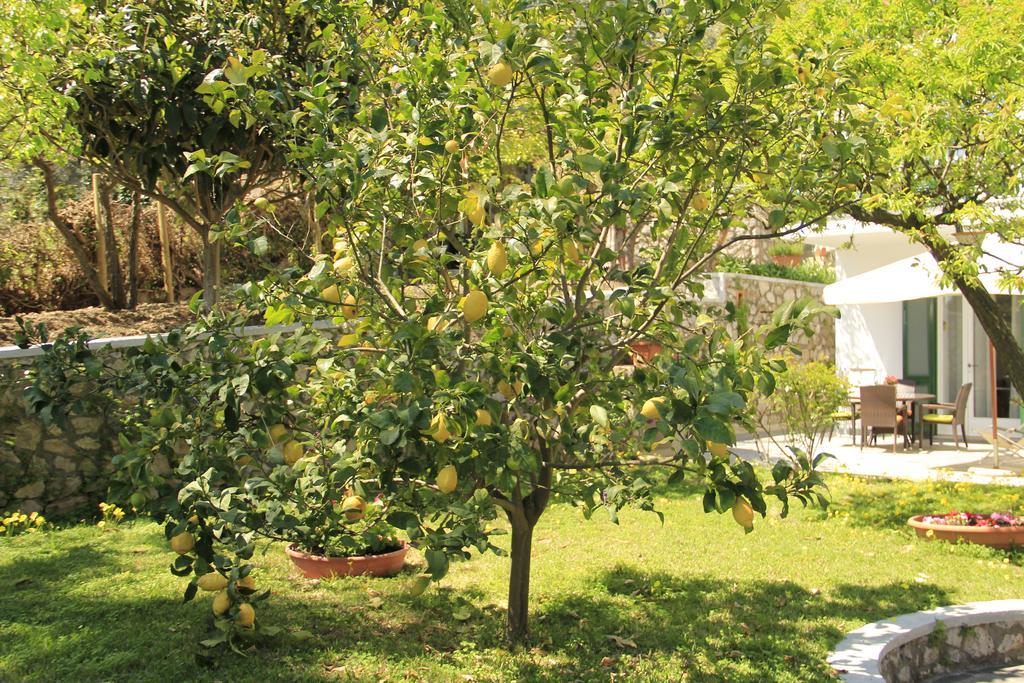קאפרי Casa Augusto B&B מראה חיצוני תמונה