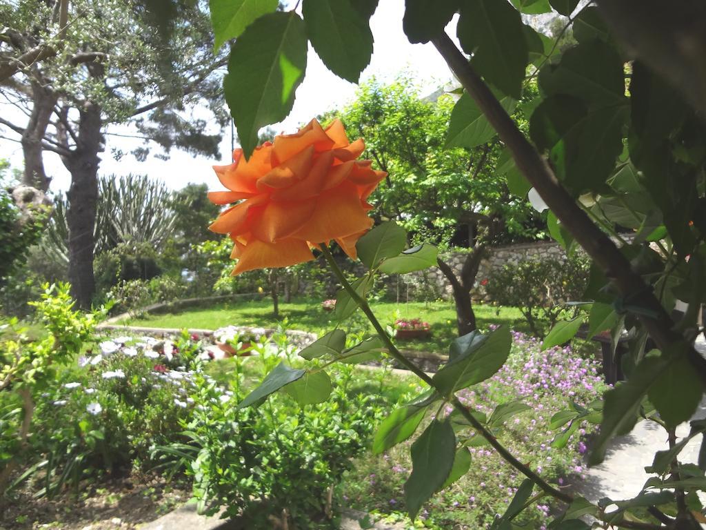 קאפרי Casa Augusto B&B מראה חיצוני תמונה