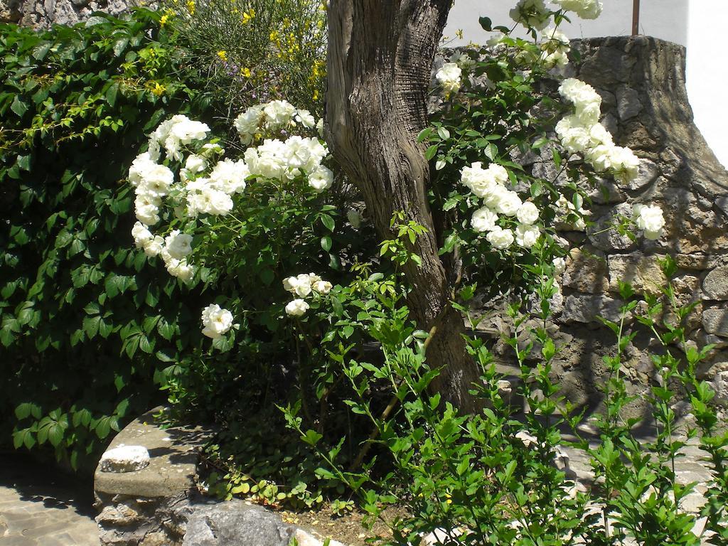 קאפרי Casa Augusto B&B מראה חיצוני תמונה